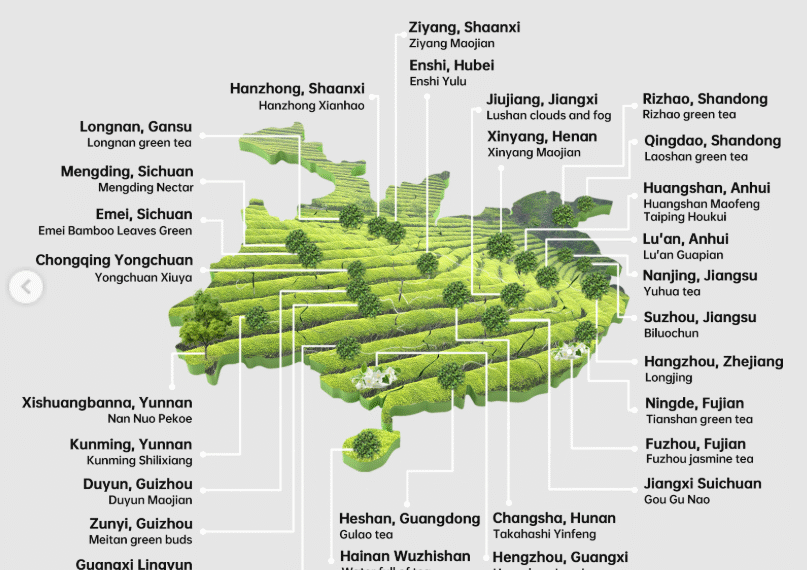 Why matcha from different regions tastes unique