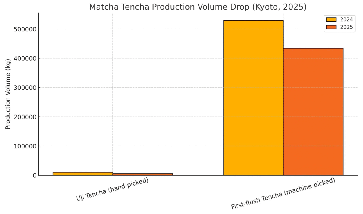 Why Matcha Prices Are Spiking in 2025 – Shortage, Climate, and Global Demand