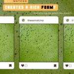 Matcha foam